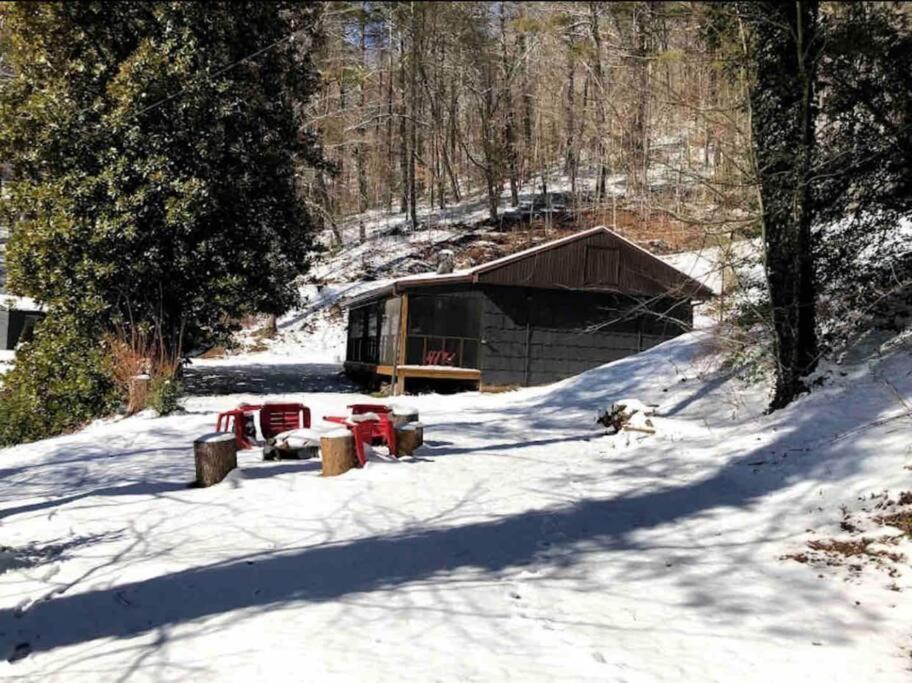 Cabin At The Cove At Watauga Lake Butler エクステリア 写真